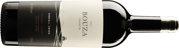 Bouza Tannat B6